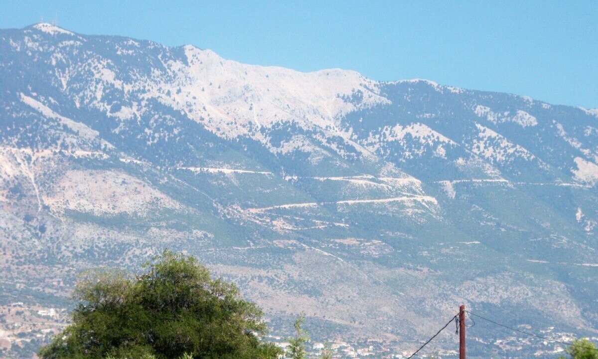 Photo of Others in Pesada