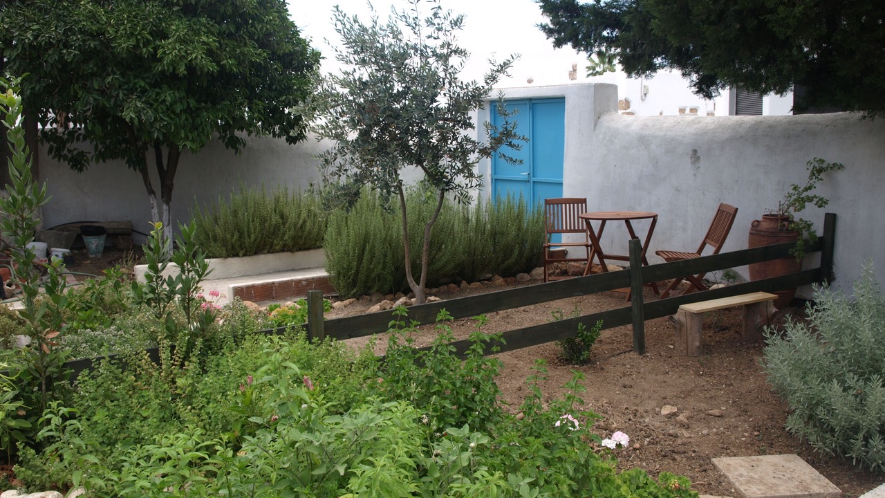 Photo of Outdoor in Archangelos