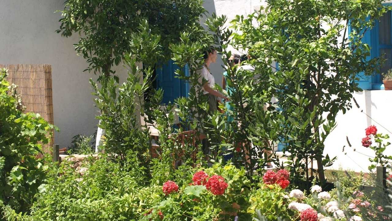 Photo of Outdoor in Archangelos