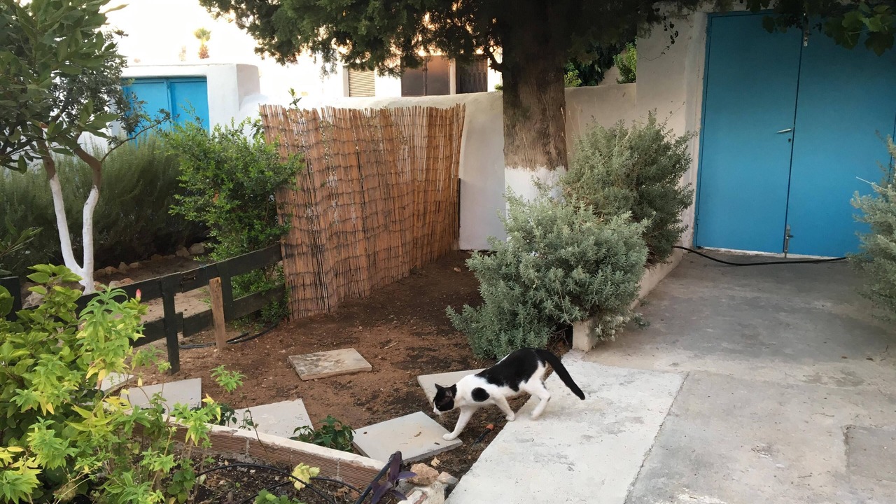 Photo of Outdoor in Archangelos