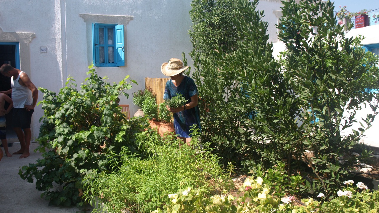 Photo of Outdoor in Archangelos