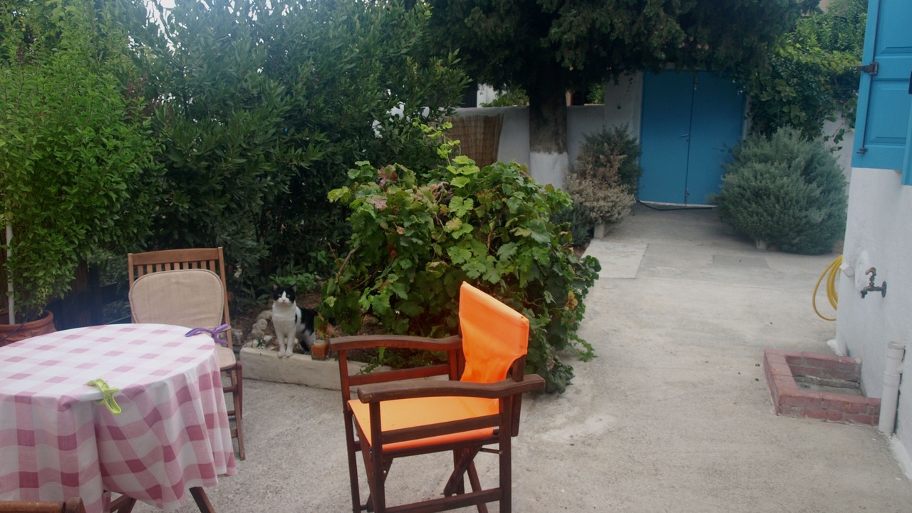 Photo of Outdoor in Archangelos