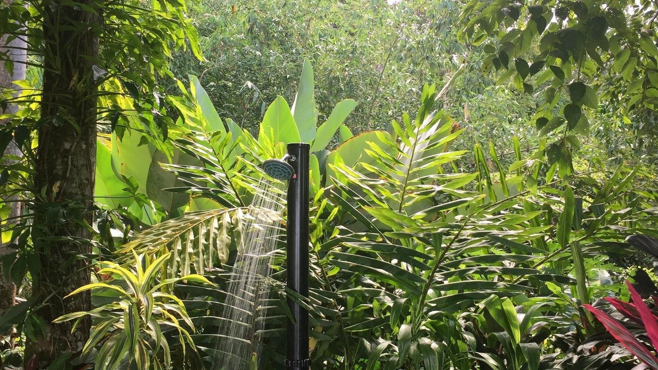 Photo of Outdoor in Ballena