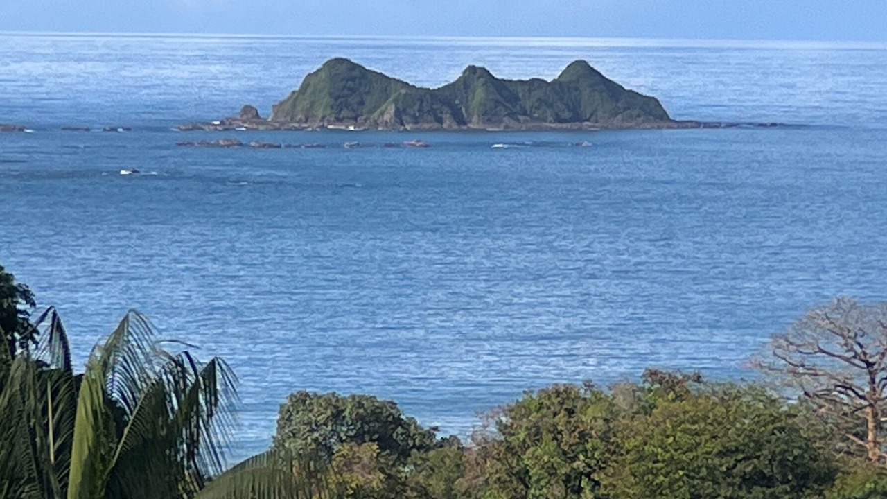 Photo of Others in Ballena
