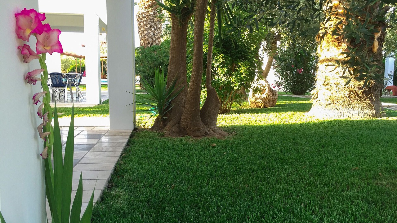 Photo of Outdoor in Paralio Astros