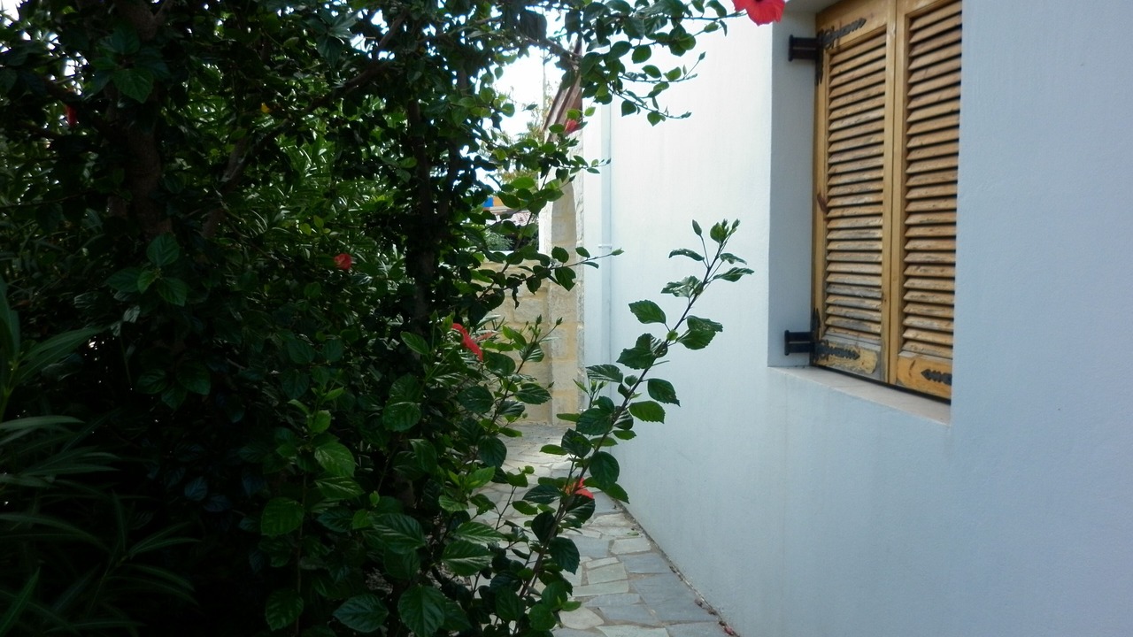 Photo of Outdoor in Roumeli