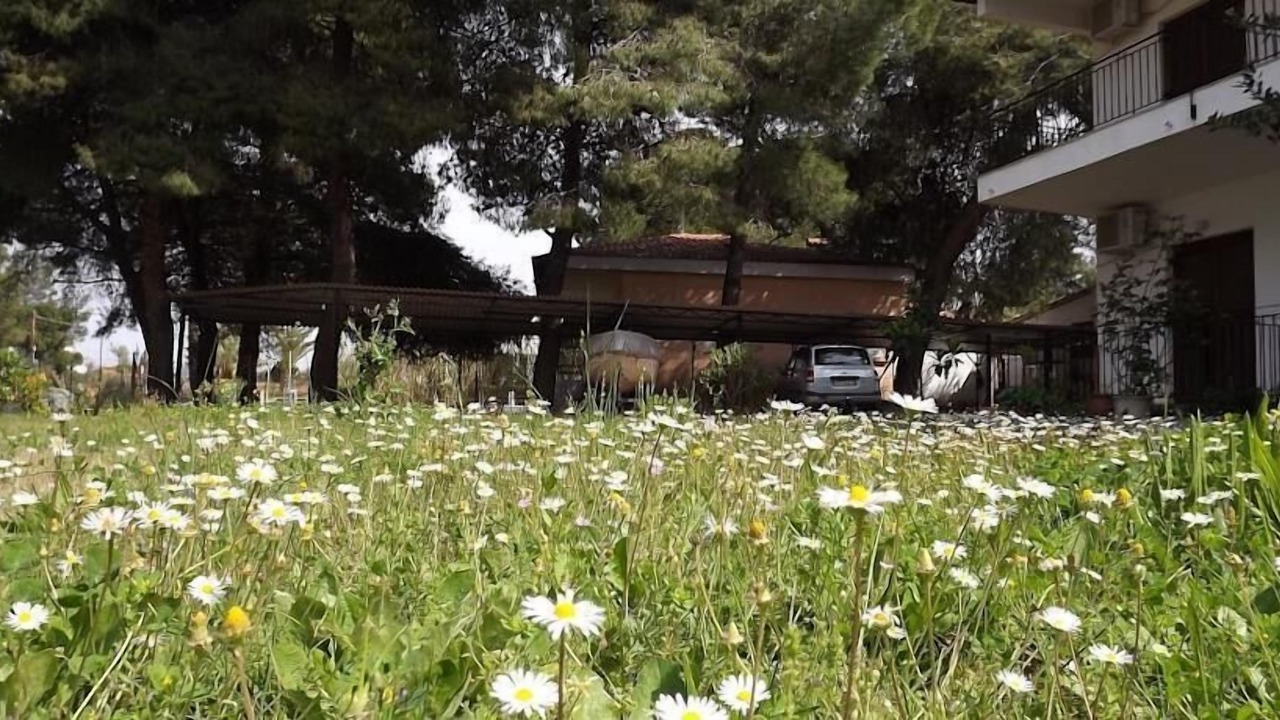 Photo of Outdoor in Vourvourou