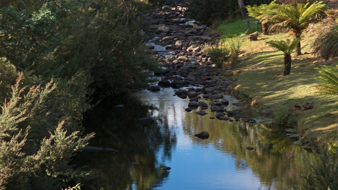 Photo of Outdoor in Grove