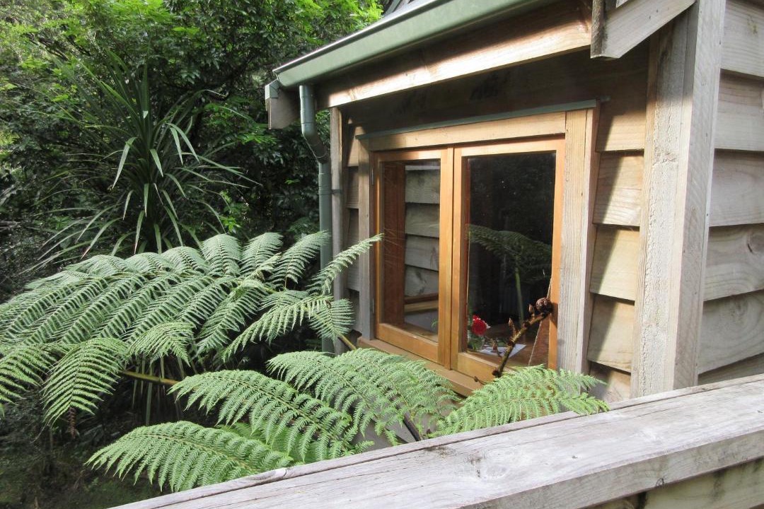 Photo of Others in Coromandel