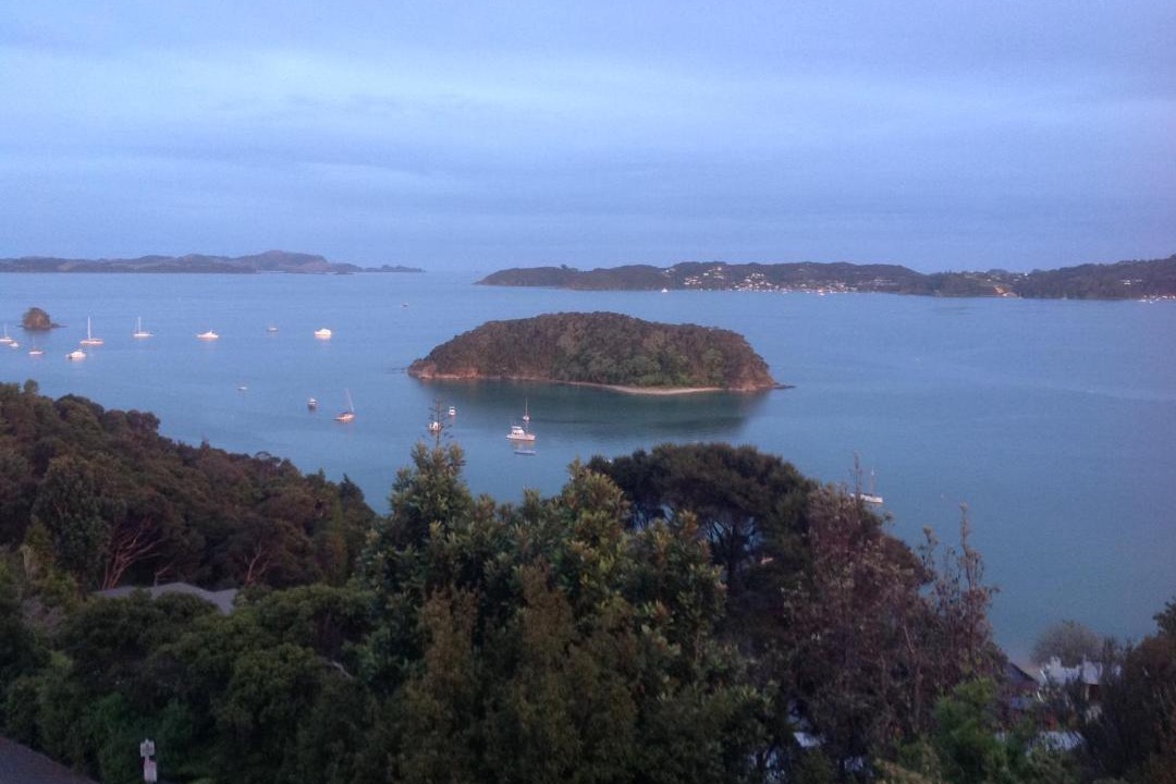 Photo of Others in Paihia
