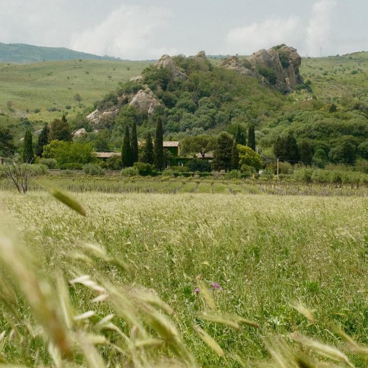 Photo of Others in Roccella Valdemone