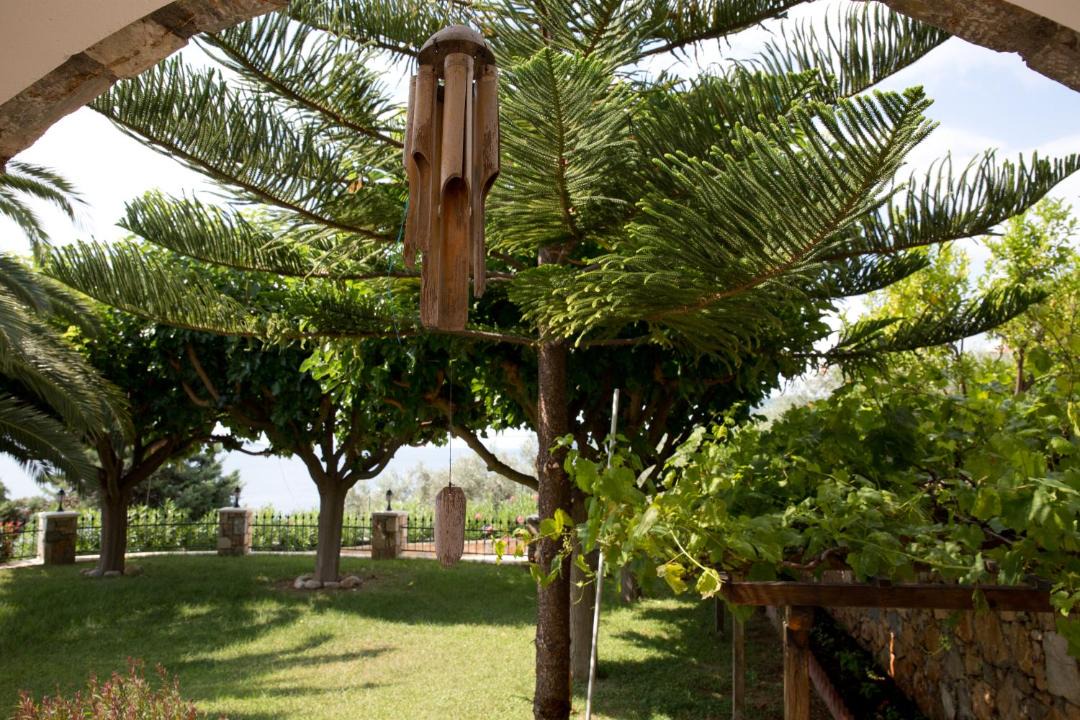 Photo of Others in Nimfea