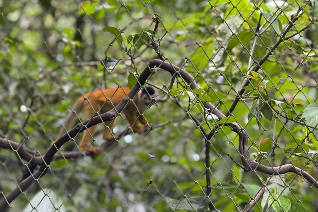 Photo of Others in Grecia