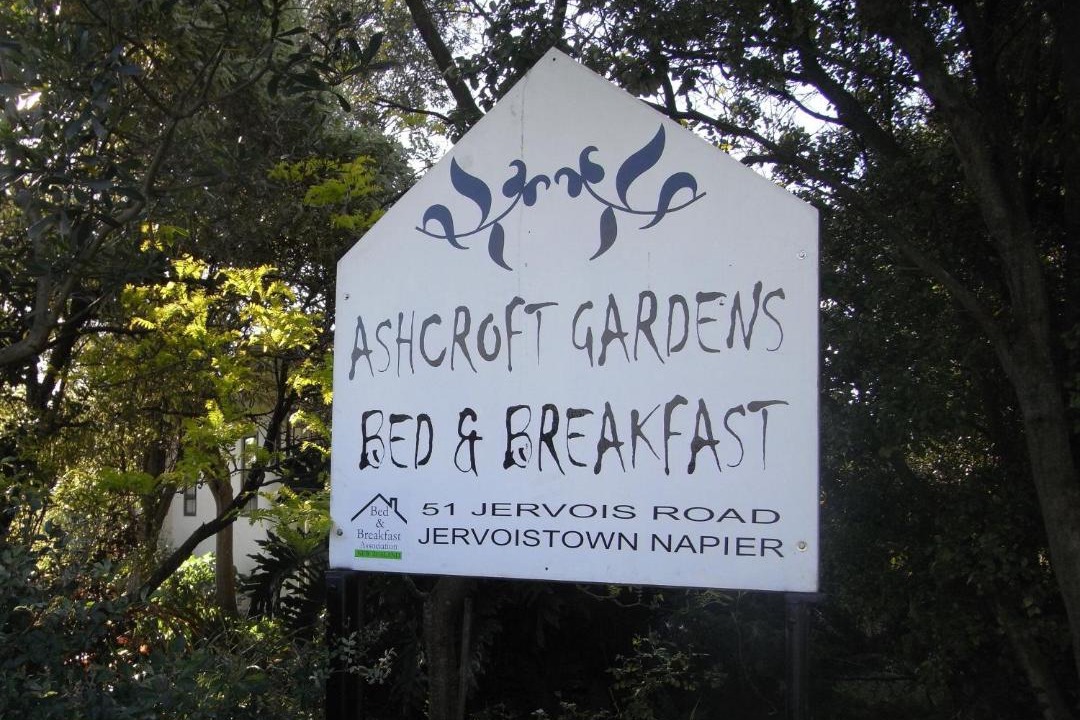 Photo of Others in Napier