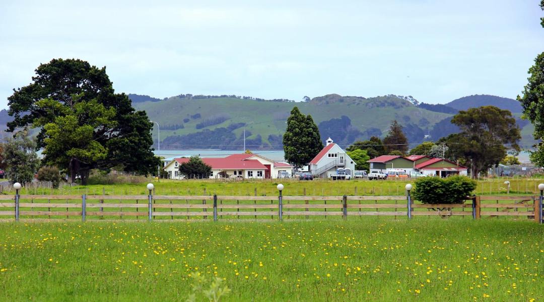 Photo of Others in Coromandel