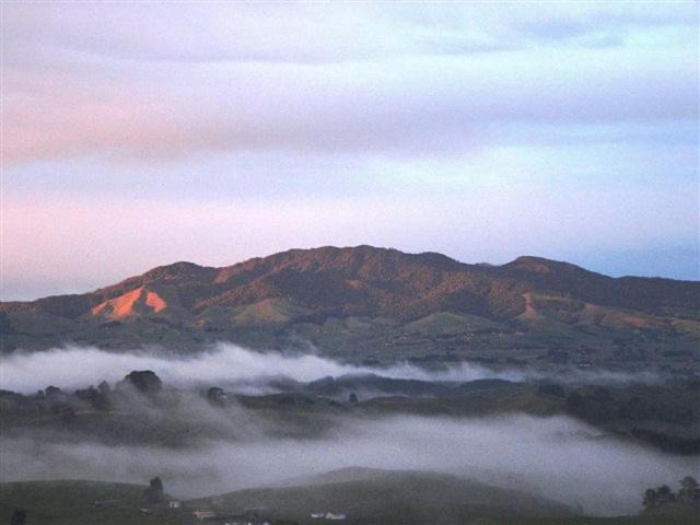 Photo of Others in Maungatautari