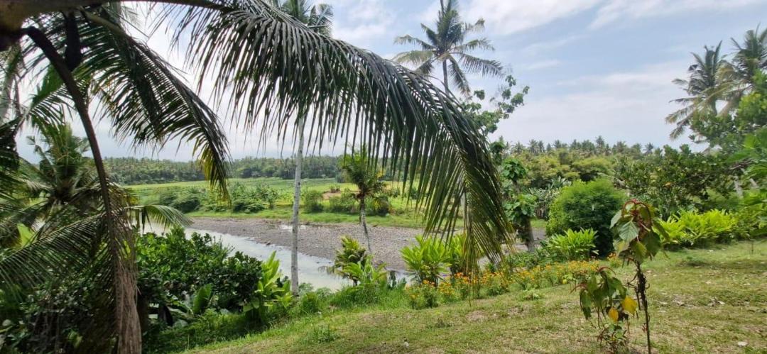 Photo of Others in Mendoyo