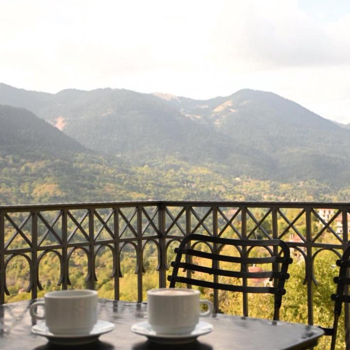 Photo of Others in Megalo Chorio