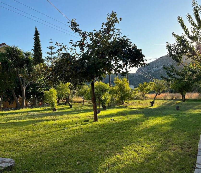 Photo of Others in Kateleios