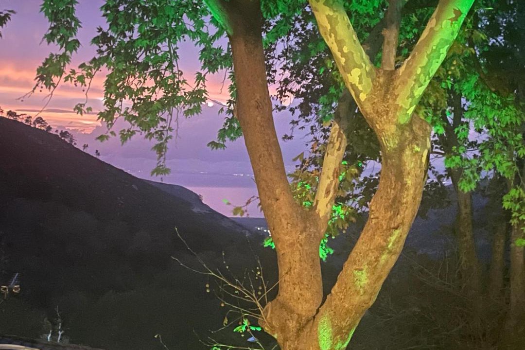 Photo of Others in Megalos Prinos