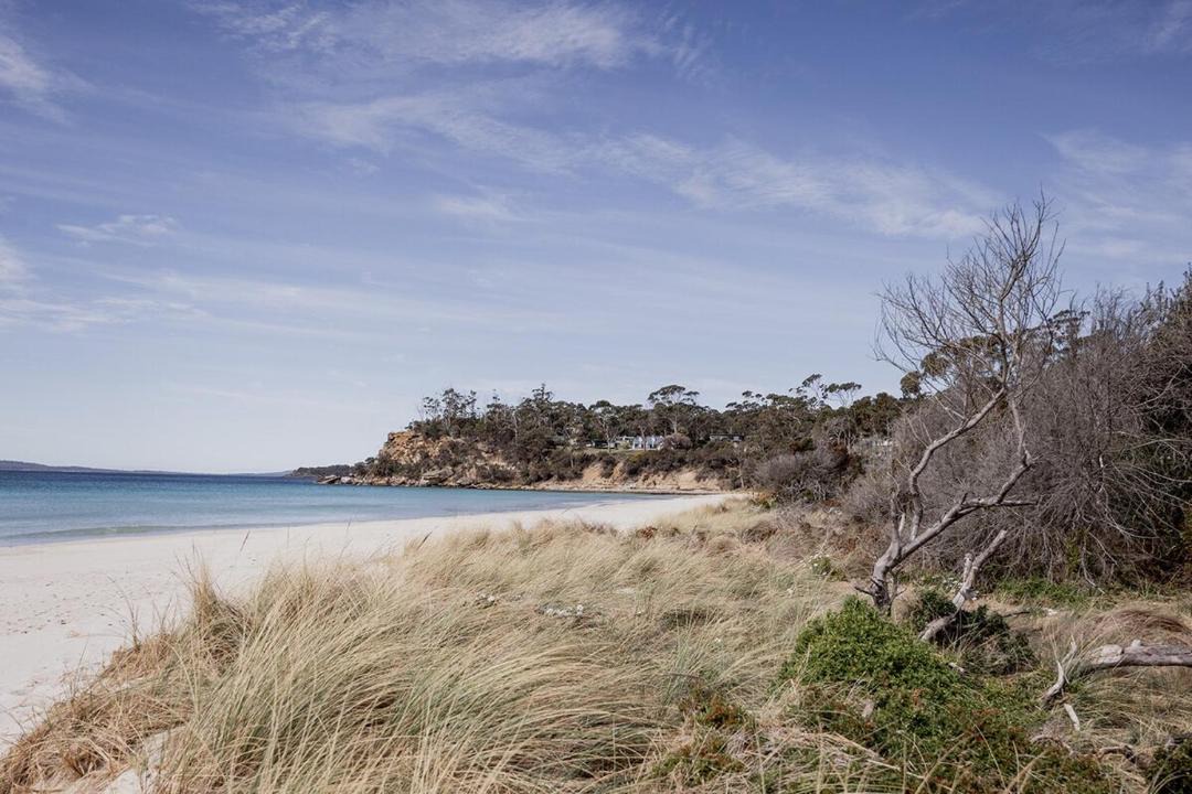 Photo of Others in Spring Beach