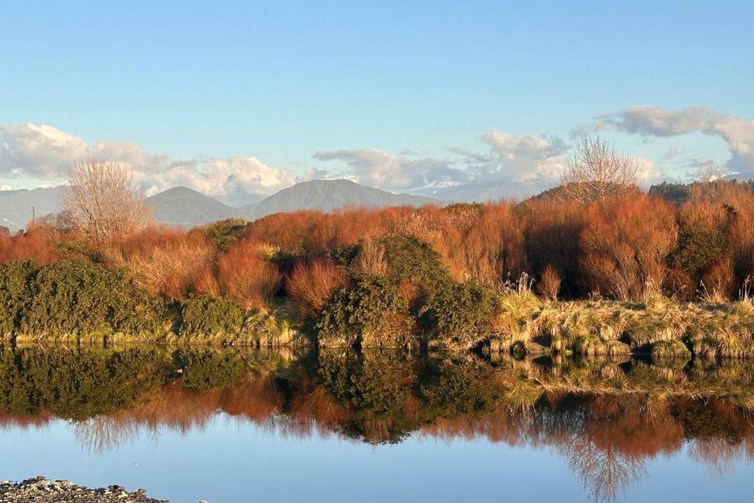 Photo of Others in Hokitika
