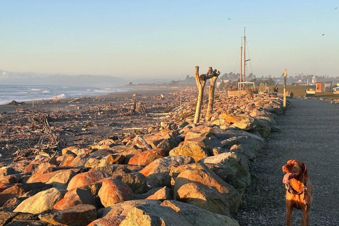 Photo of Others in Hokitika