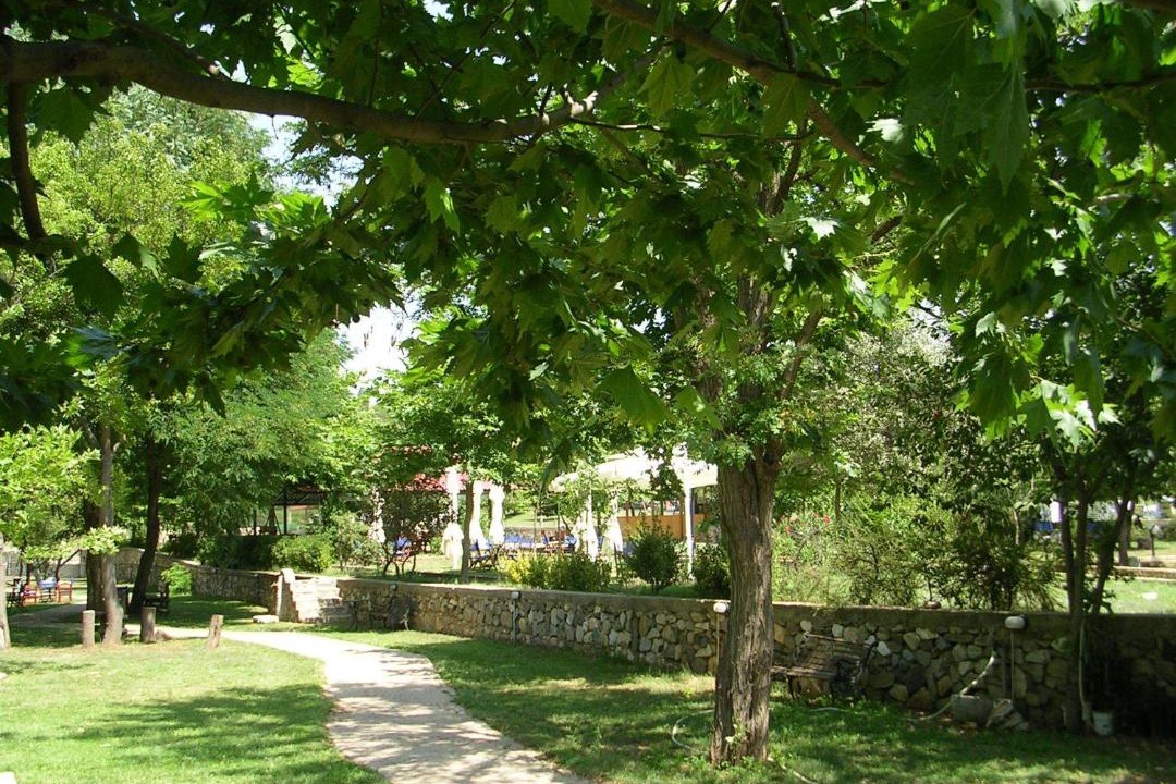 Photo of Others in Xanthi