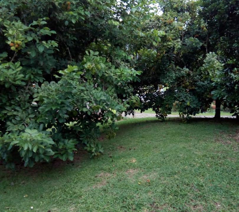 Photo of Outdoor in Las Horquetas