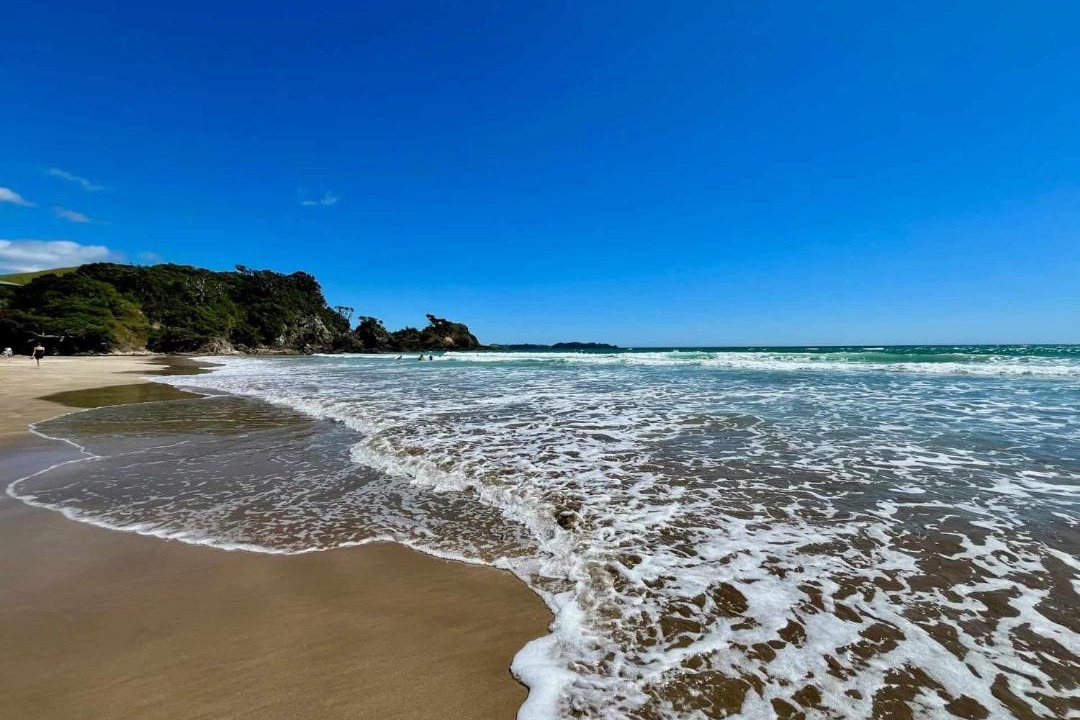 Photo of Others in Paihia