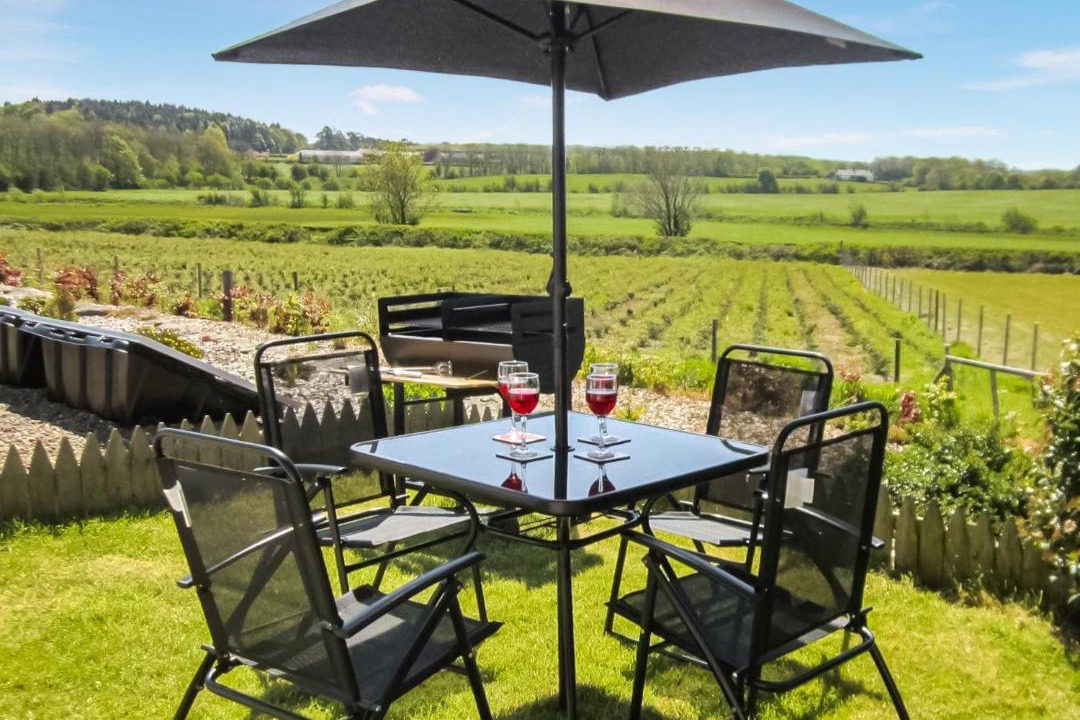 Photo of Others in Newton Stewart