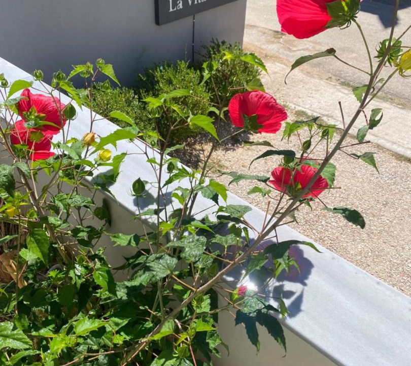 Photo of Others in Mytikas