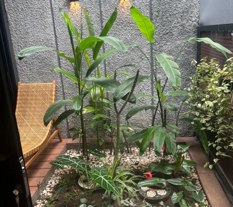 Photo of Others in Kertek