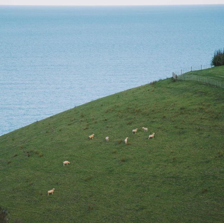 Photo of Others in Tutukaka