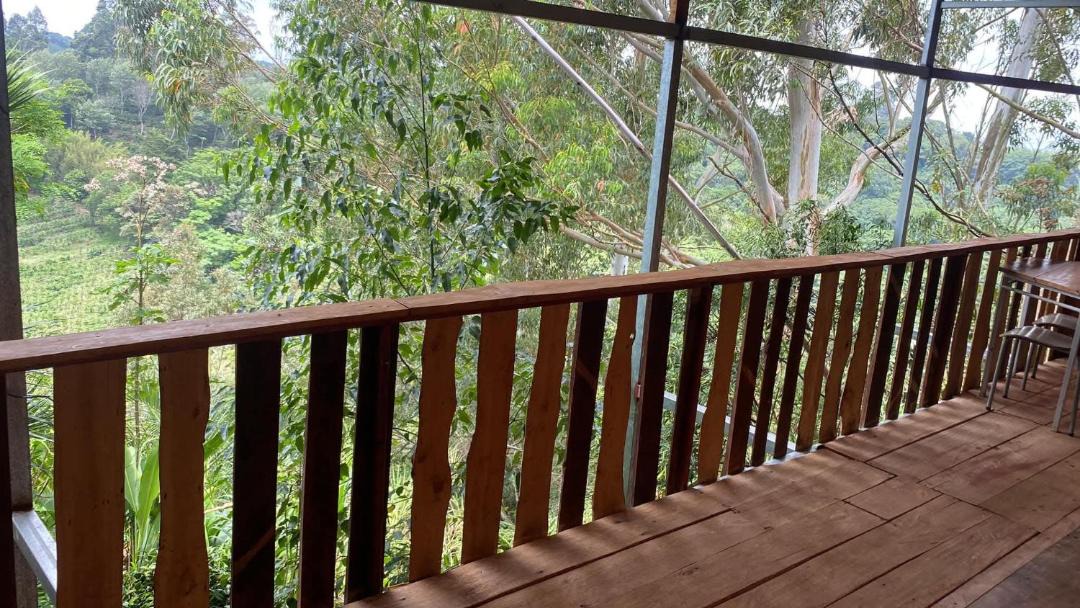 Photo of Patio Balcony in Sabanilla