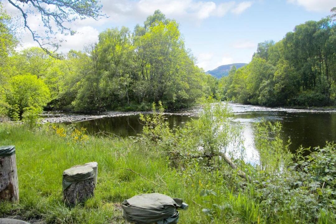 Photo of Others in Contin