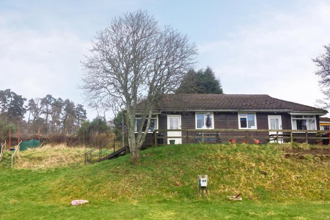 Photo of Others in Contin