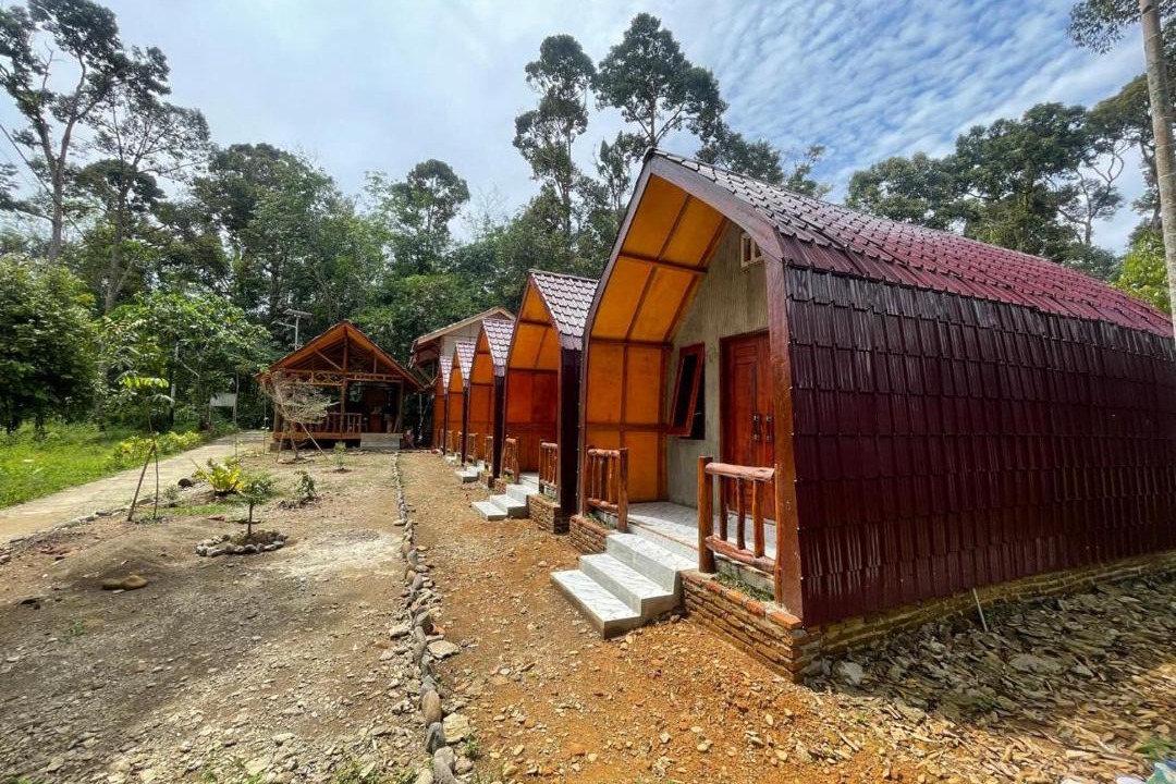 Photo of Others in Bohorok