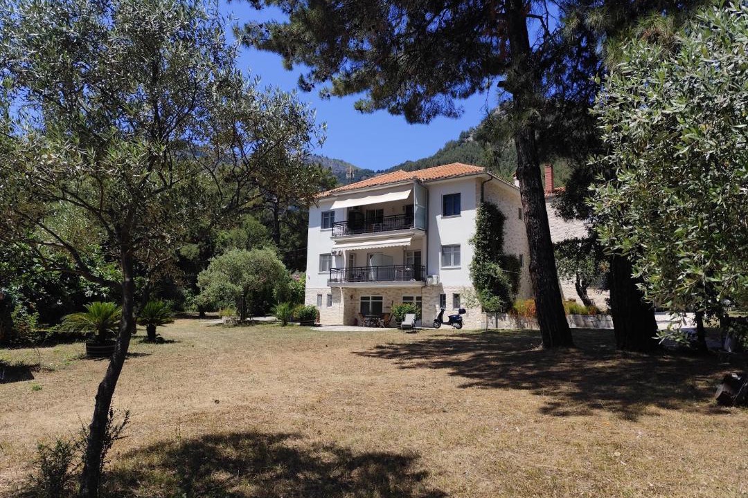 Photo of Others in Thasos