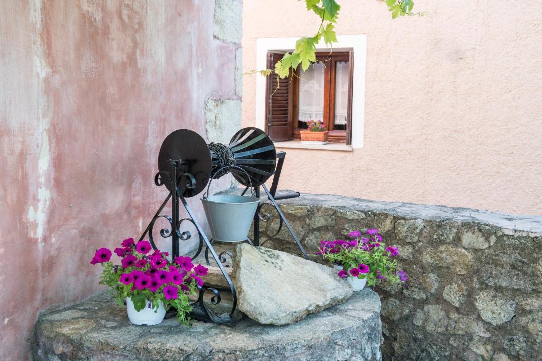 Photo of Others in Vamos