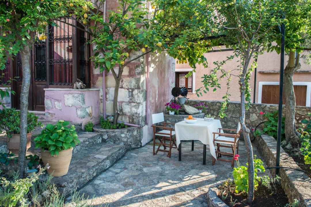 Photo of Others in Vamos