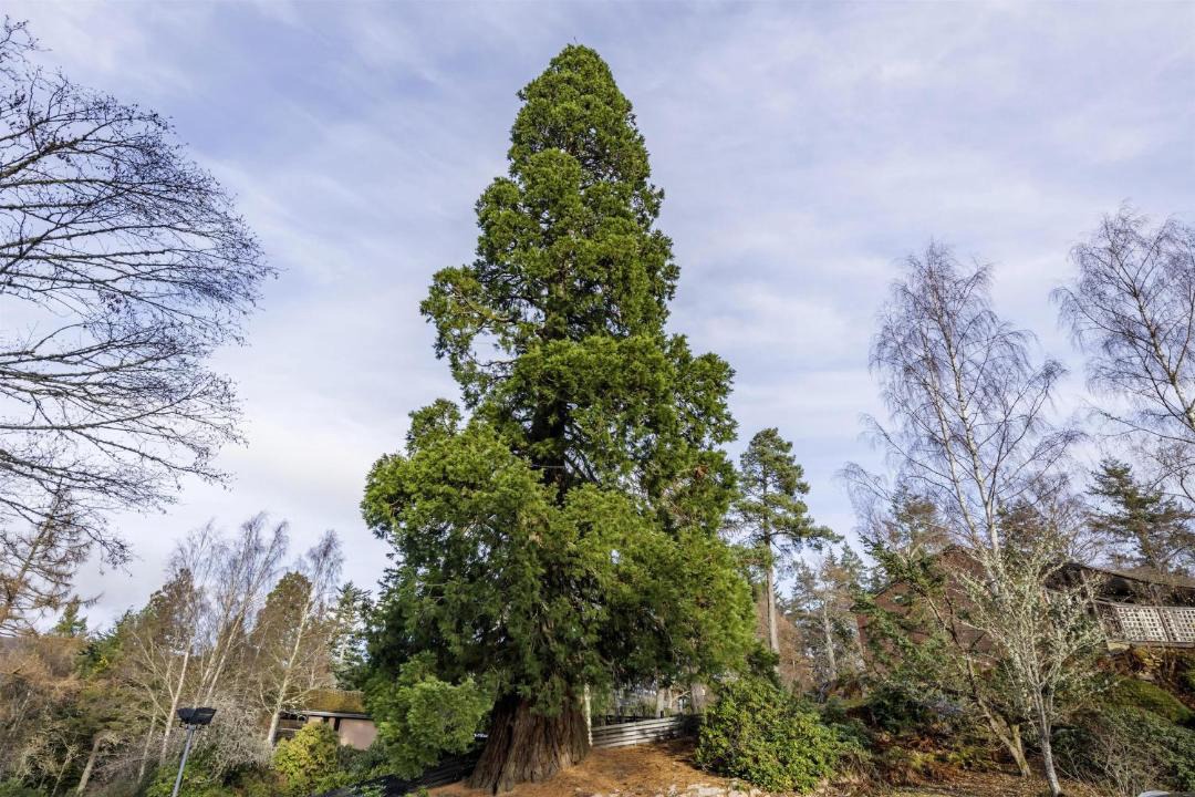 Photo of Outdoor in Ballater