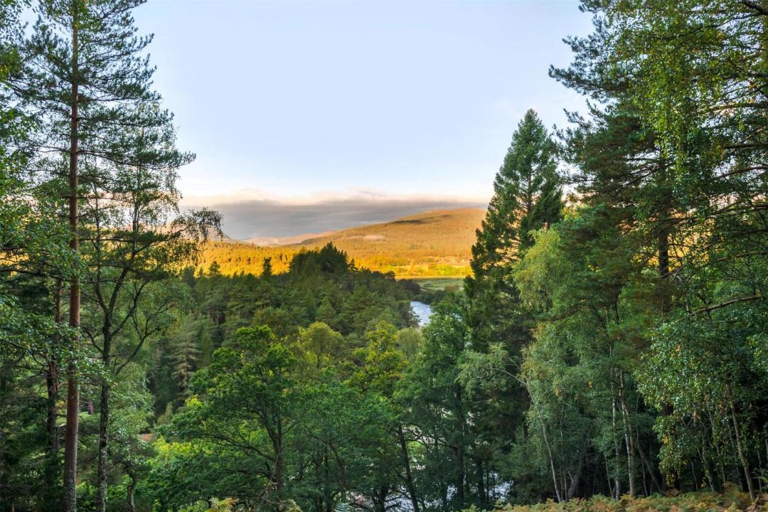 Photo of Others in Ballater