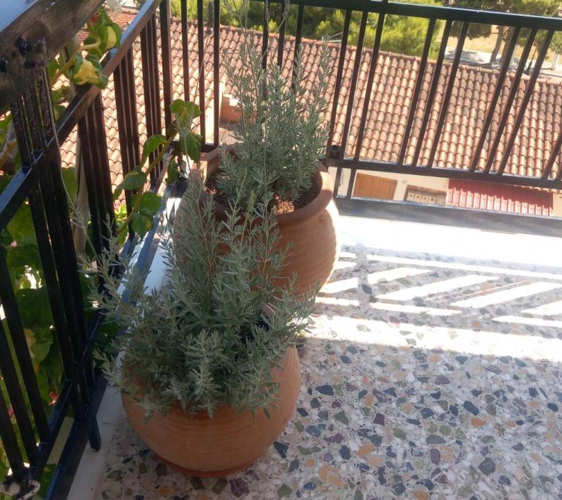 Photo of Patio Balcony in Paralio Astros