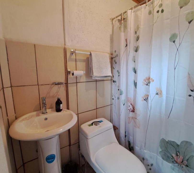 Photo of Bathroom in Orosi