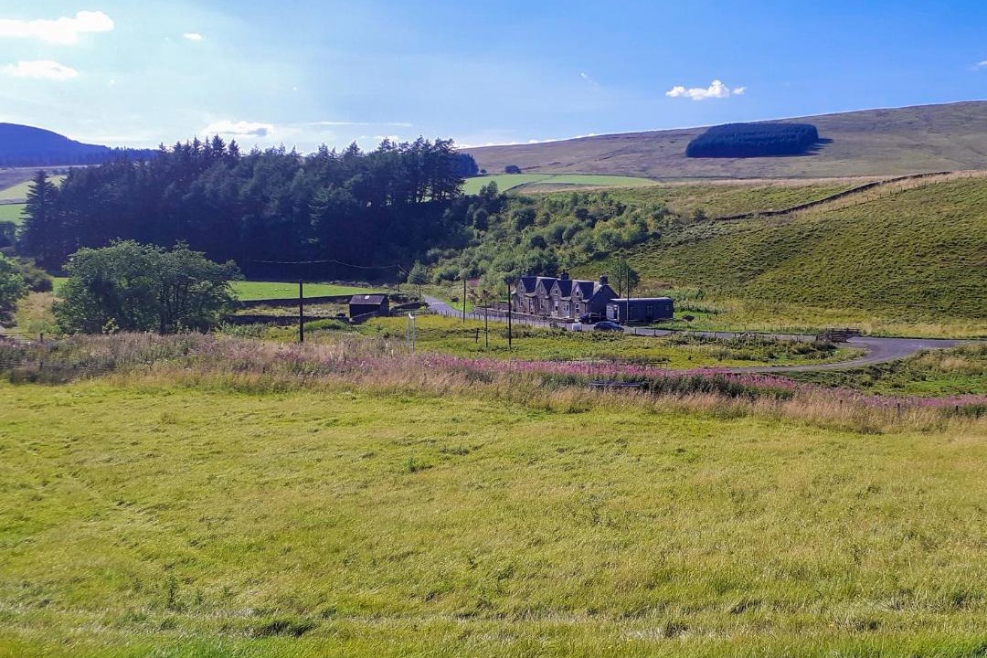 Photo of Others in Hawick