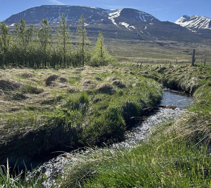 Photo of Others in Akureyri