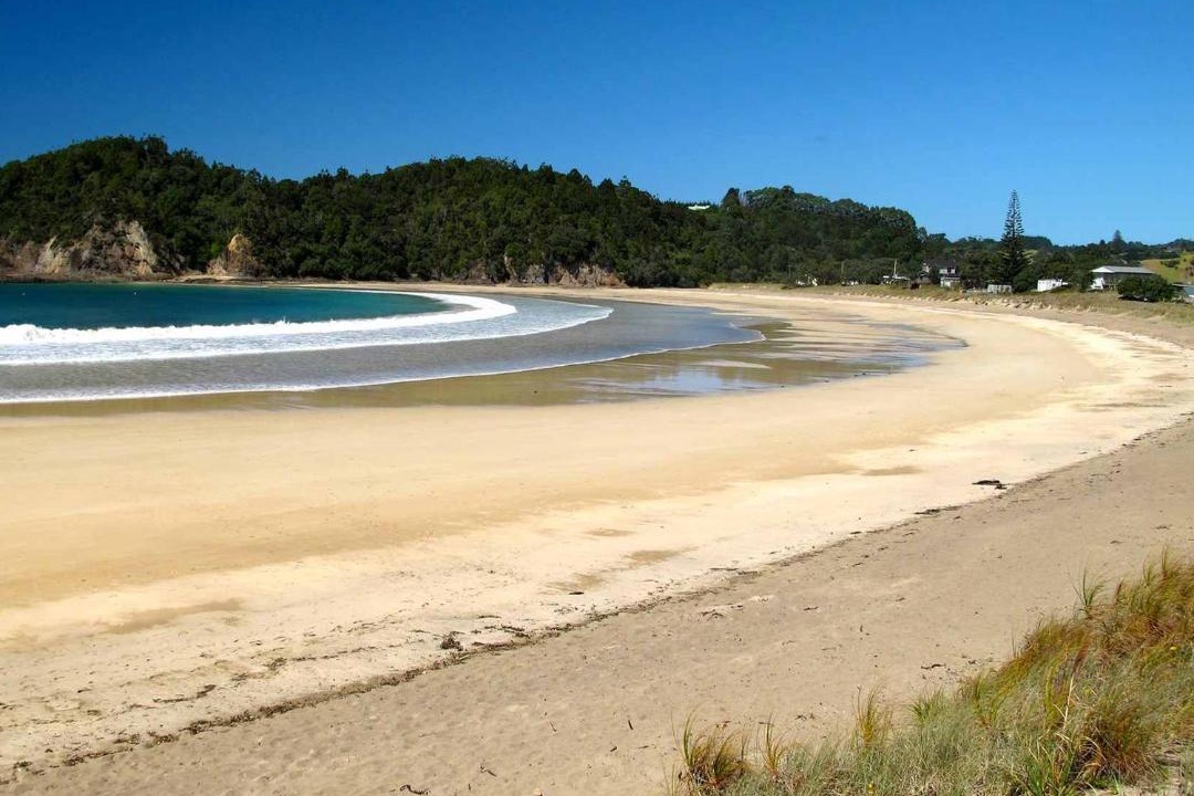 Photo of Others in Matapouri