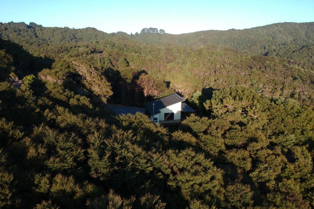 Photo of Others in Matapouri