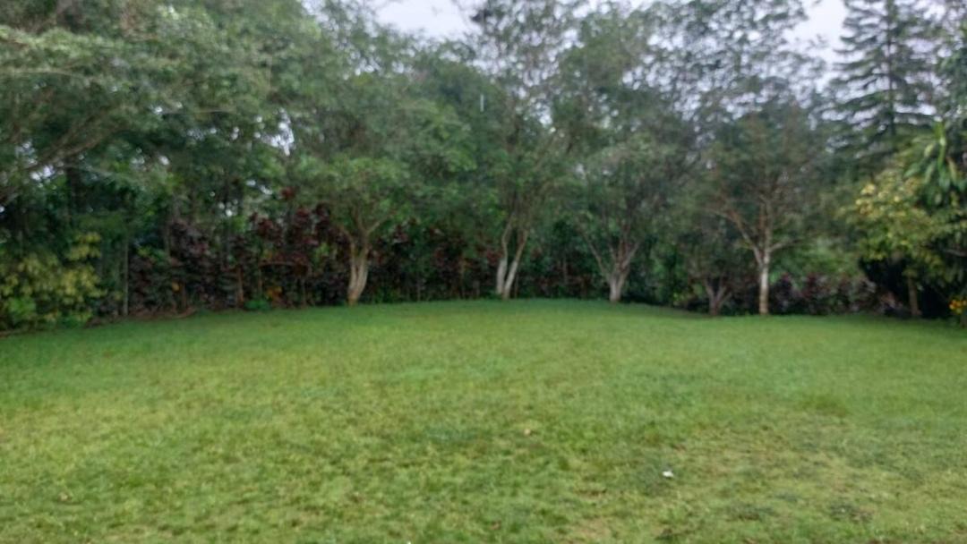 Photo of Outdoor in Quebrada La Gamba